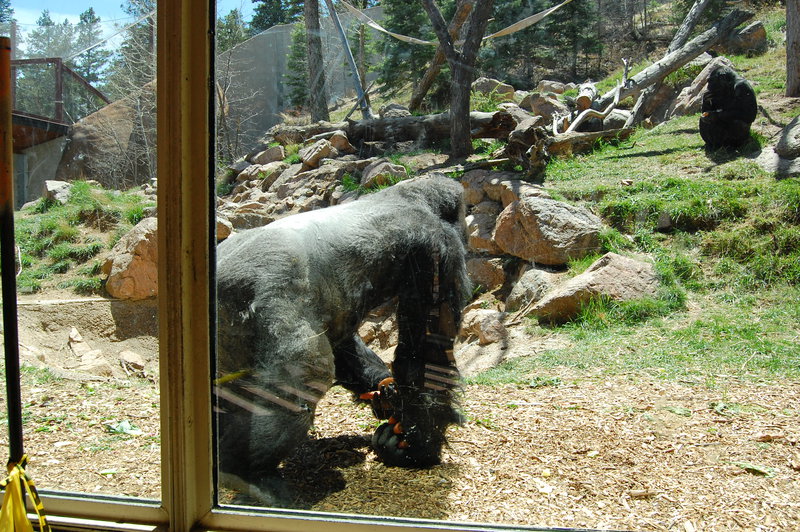 William-2010_04_28 187