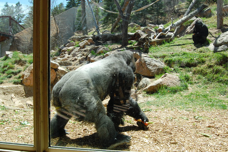 William-2010_04_28 188