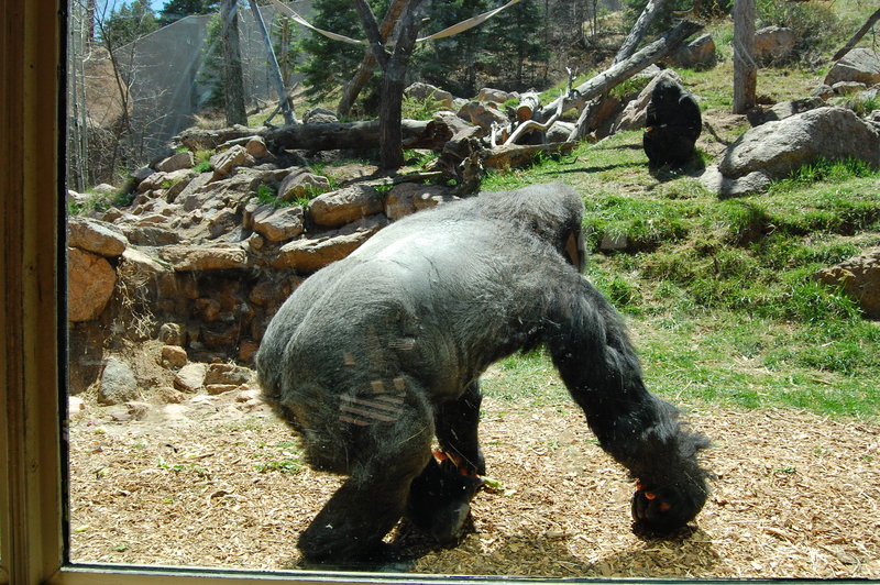 William-2010_04_28 190