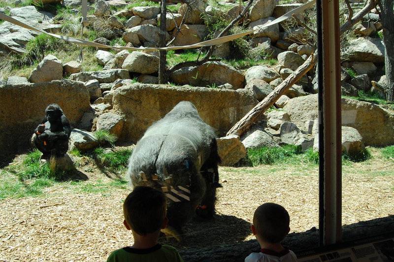 William-2010_04_28 194