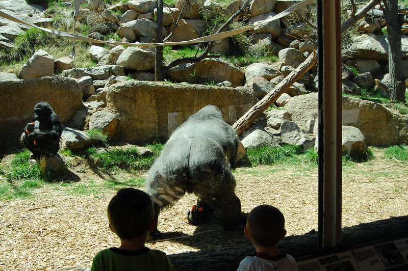 William-2010_04_28 195