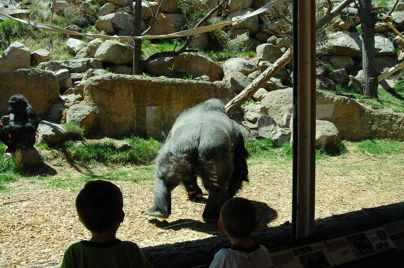 William-2010_04_28 196