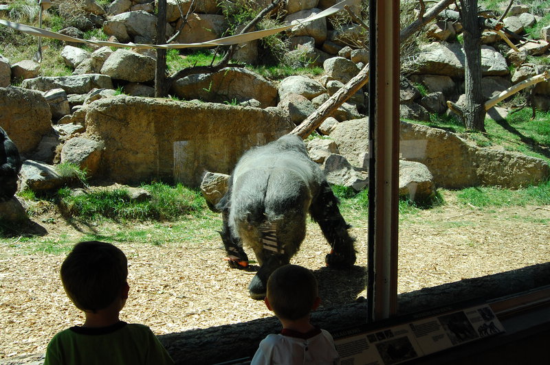 William-2010_04_28 197