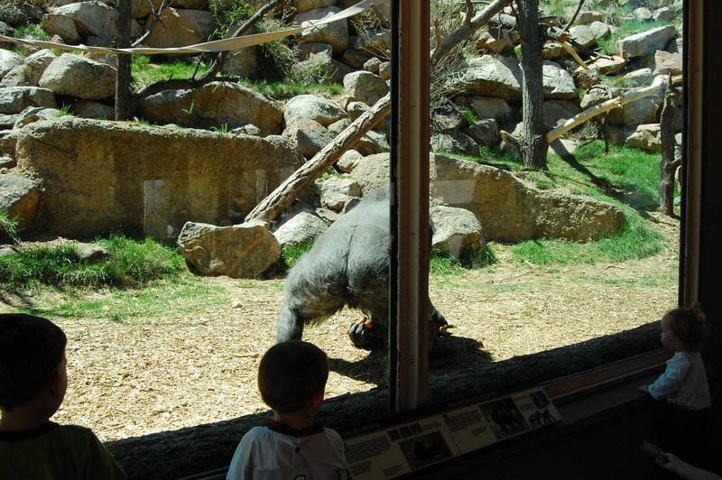 William-2010_04_28 199