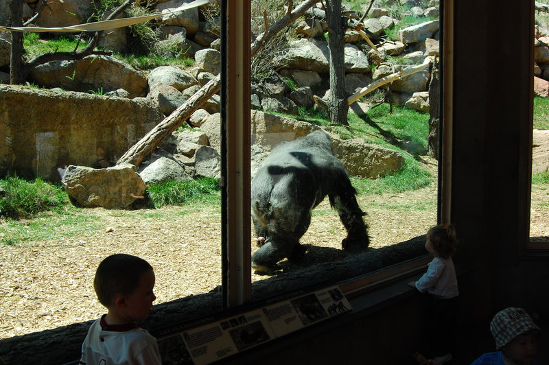 William-2010_04_28 201