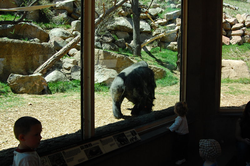 William-2010_04_28 202