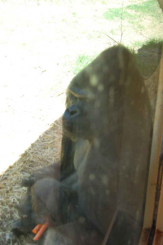 William-2010_04_28 203