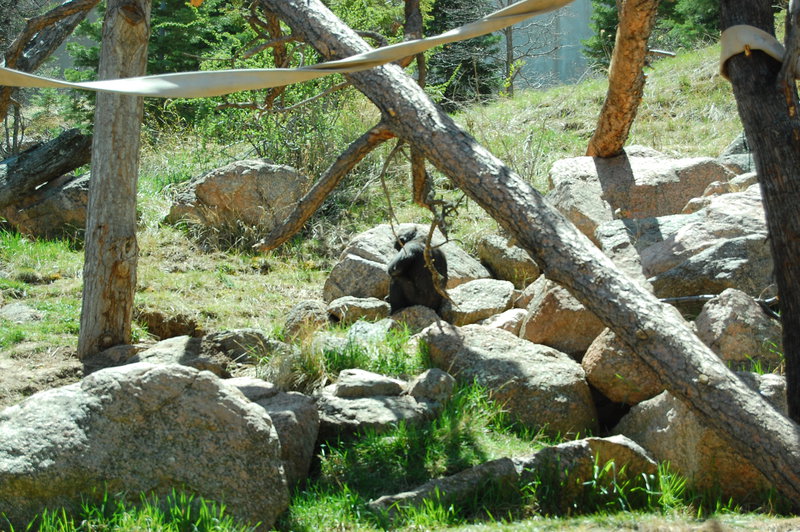 William-2010_04_28 208