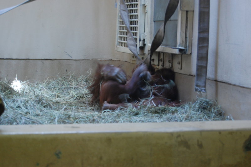 William-2010_04_28 213