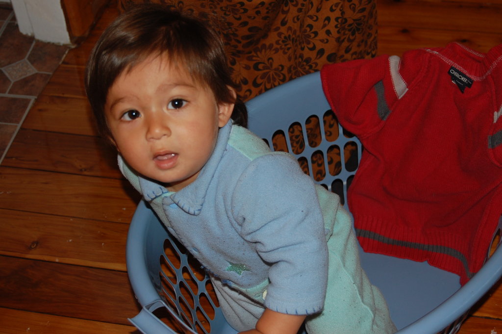 William Australia Visit 2010 1159.jpg