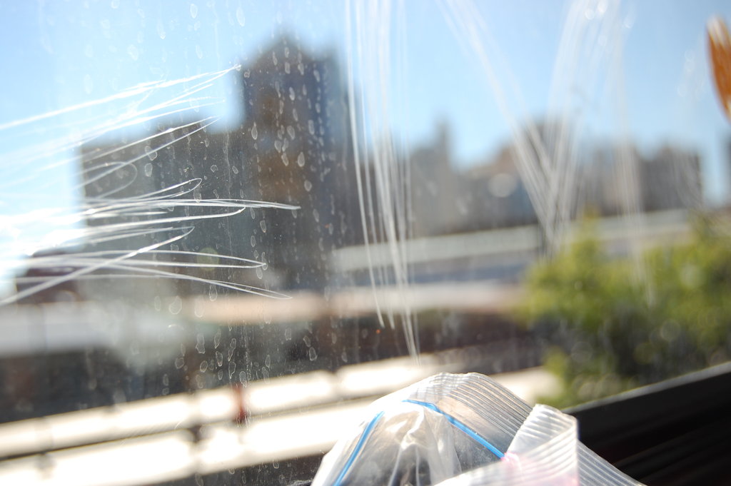 William Australia Visit 2010 189.jpg