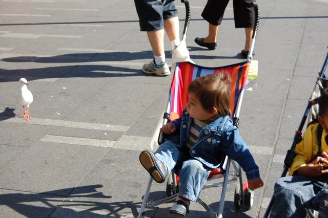 William Australia Visit 2010 208.jpg