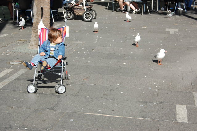 William Australia Visit 2010 209.jpg