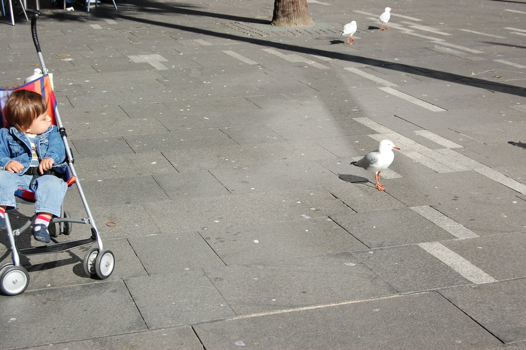 William Australia Visit 2010 210.jpg