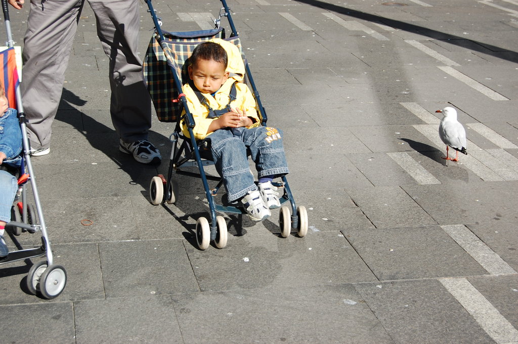 William Australia Visit 2010 211.jpg