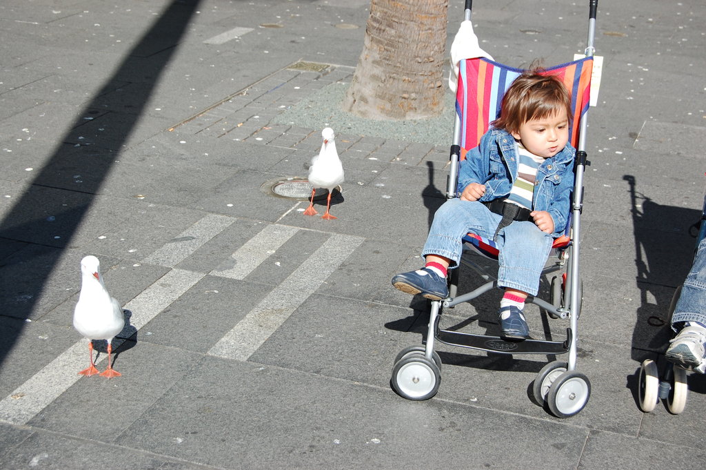 William Australia Visit 2010 221.jpg