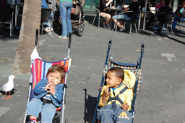 William Australia Visit 2010 222.jpg