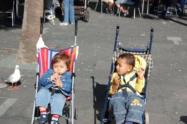 William Australia Visit 2010 223.jpg