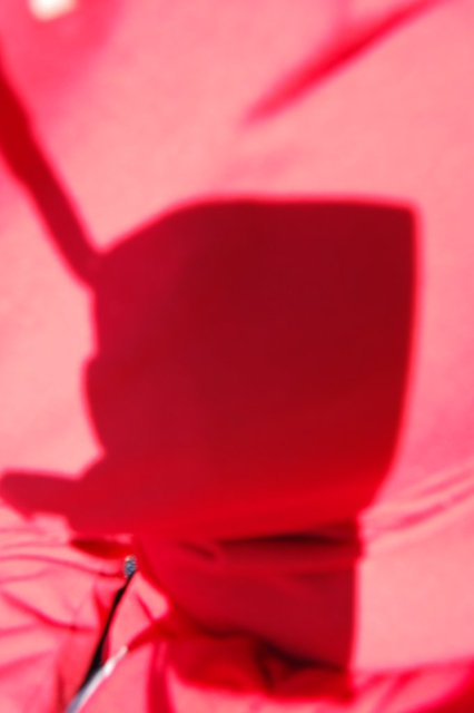 William Australia Visit 2010 304.jpg