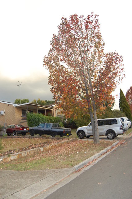 William Australia Visit 2010 584.jpg