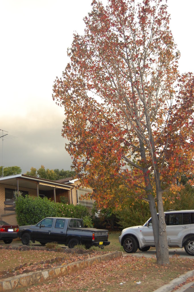 William Australia Visit 2010 585.jpg