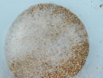 americanwheat_005.jpg
