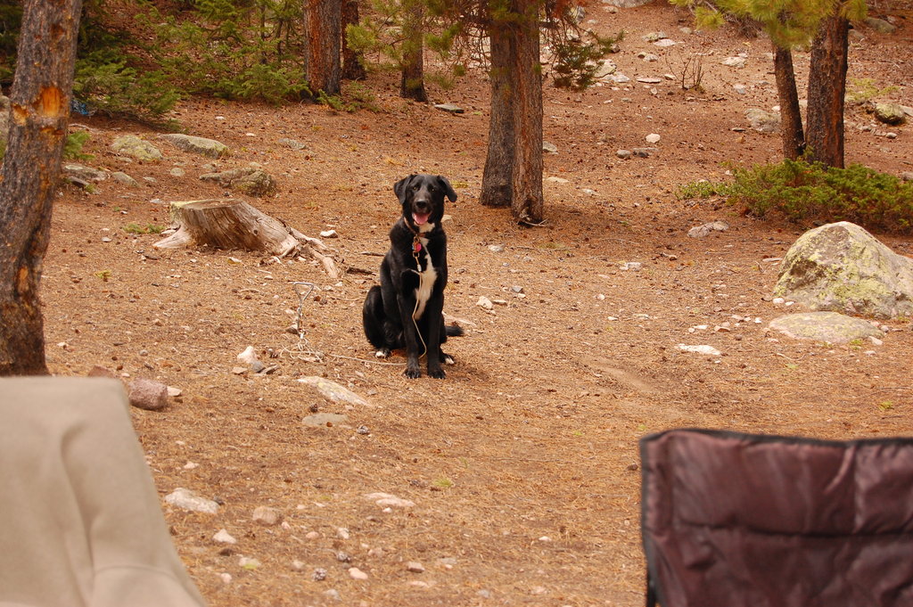 Camping_2010_06_04 038