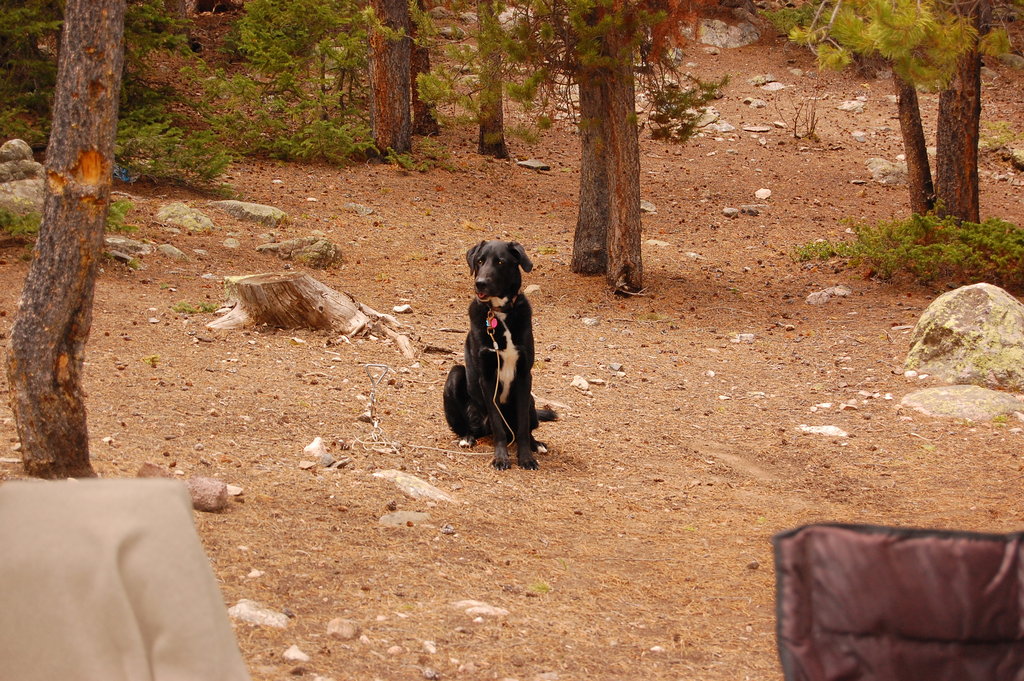 Camping_2010_06_04 039