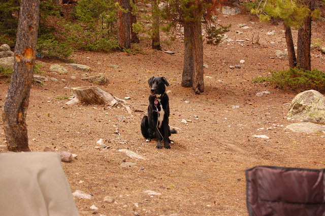 Camping_2010_06_04 039