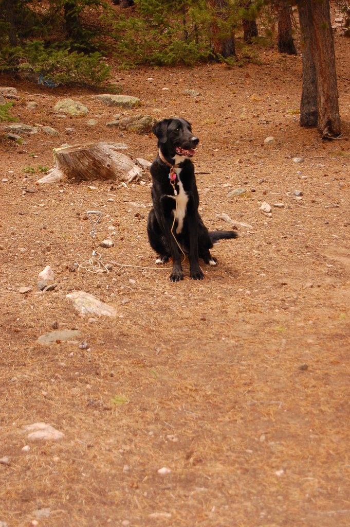 Camping_2010_06_04 040