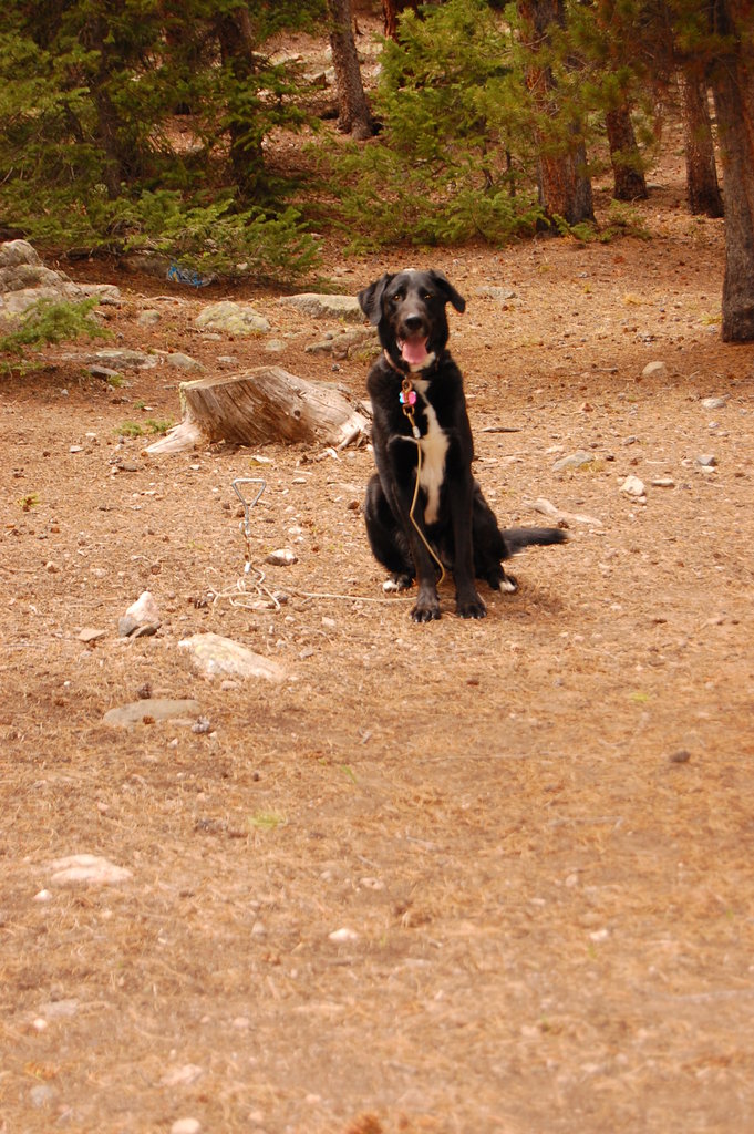 Camping_2010_06_04 041