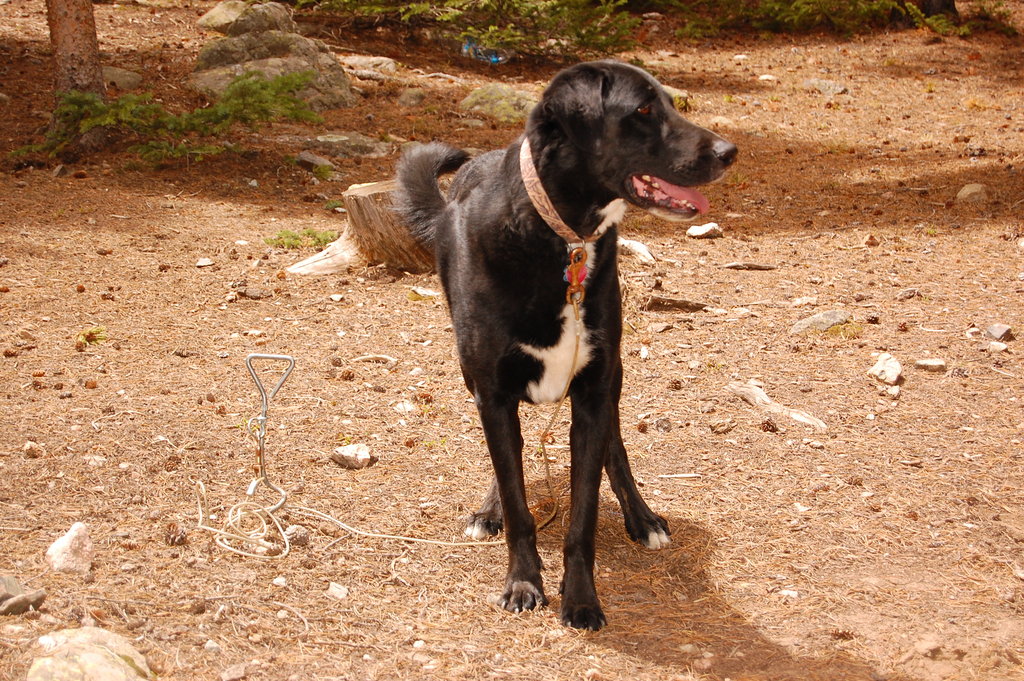 Camping_2010_06_04 042