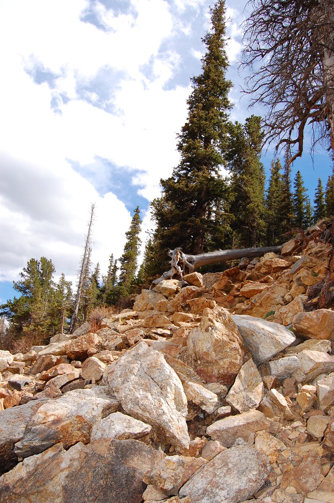 Camping_2010_06_04 084