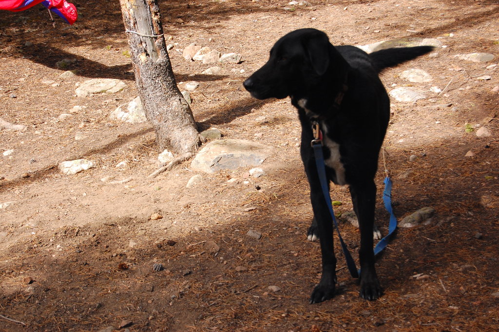 Camping_2010_06_04 121