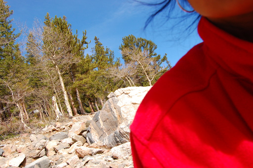 Camping_2010_06_04 241