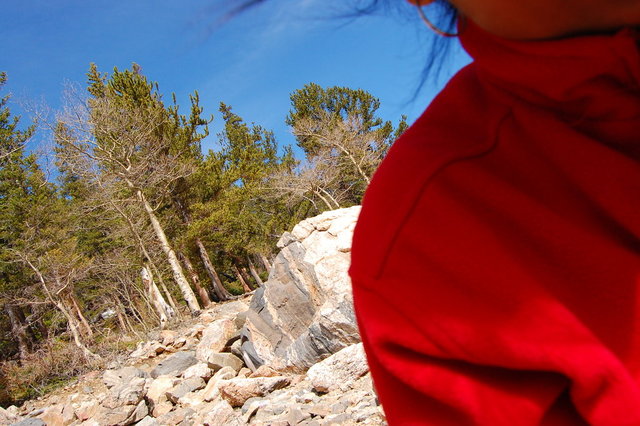 Camping_2010_06_04 242