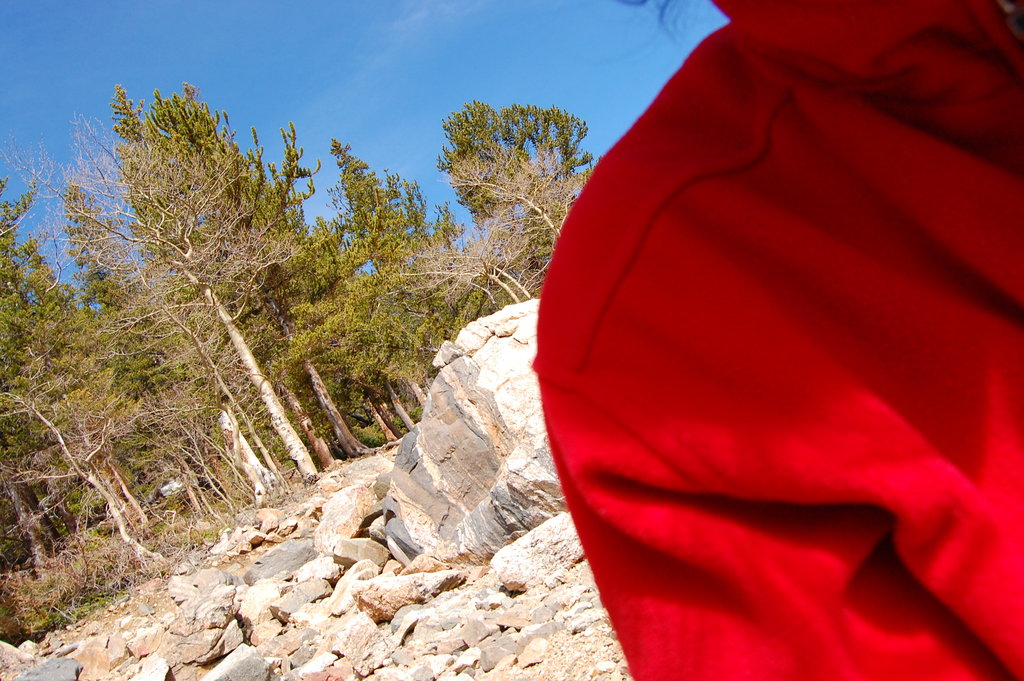 Camping_2010_06_04 243