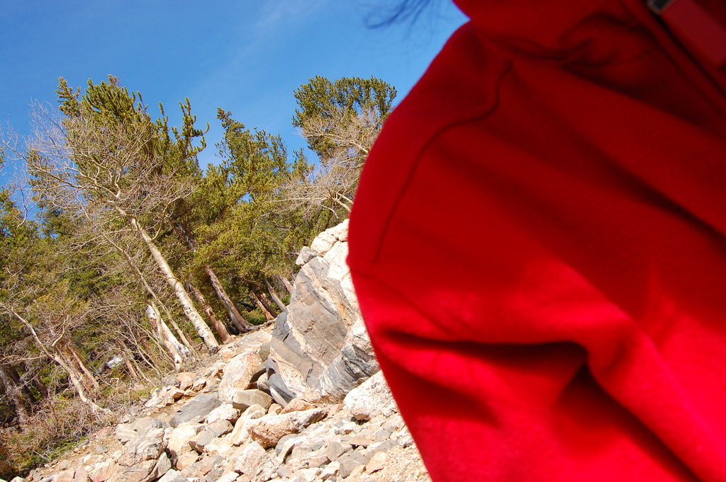 Camping_2010_06_04 244