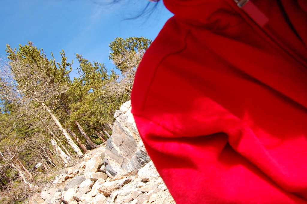 Camping_2010_06_04 245