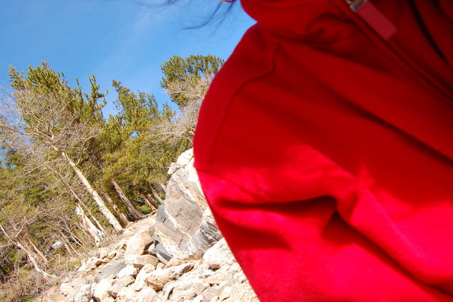 Camping_2010_06_04 245