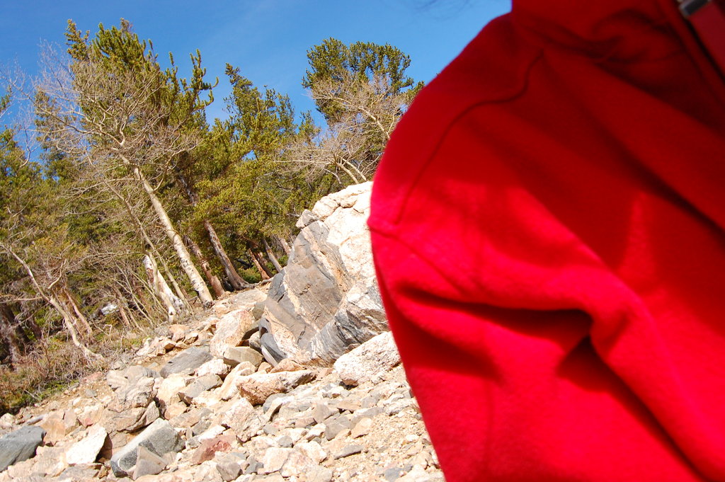 Camping_2010_06_04 246