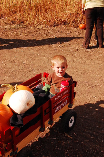 William_2010_10_09 003.jpg