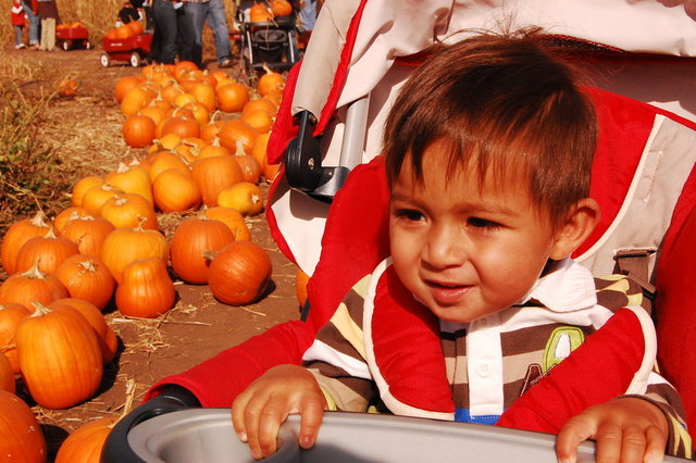 William_2010_10_09 004.jpg