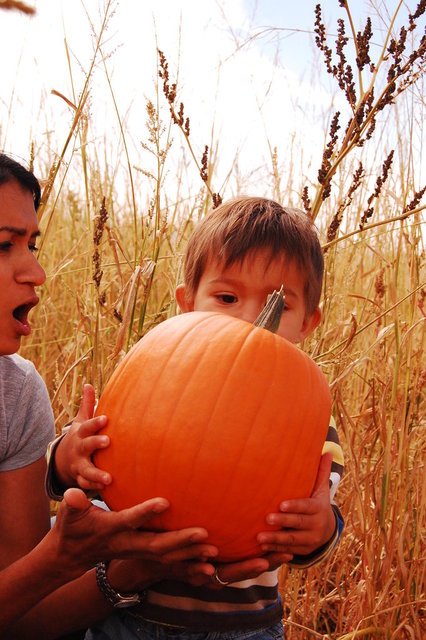 William_2010_10_09 033.jpg