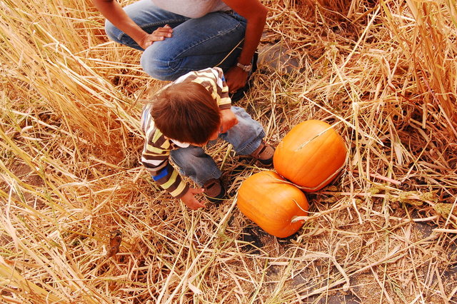 William_2010_10_09 035.jpg