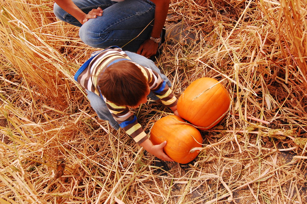 William_2010_10_09 036.jpg