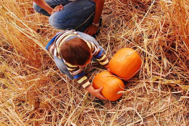 William_2010_10_09 036.jpg