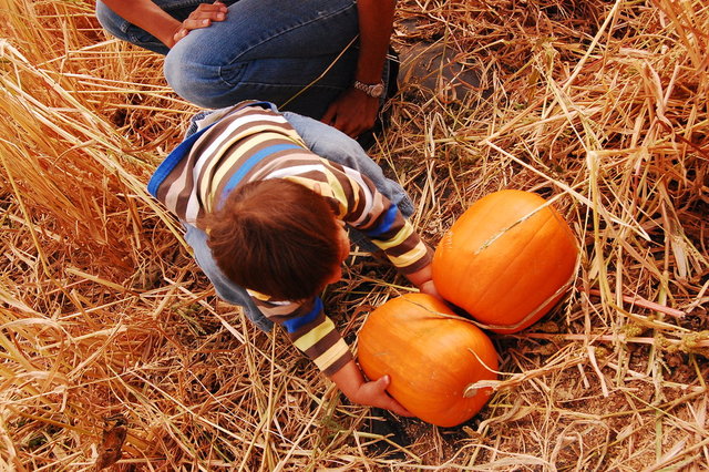 William_2010_10_09 037.jpg