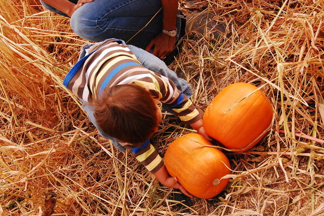 William_2010_10_09 038.jpg