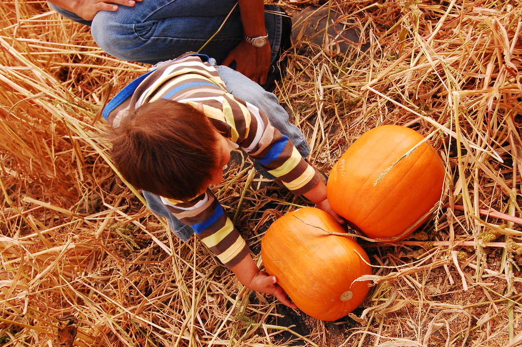 William_2010_10_09 039.jpg